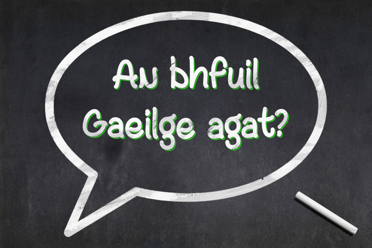 The Irish Language